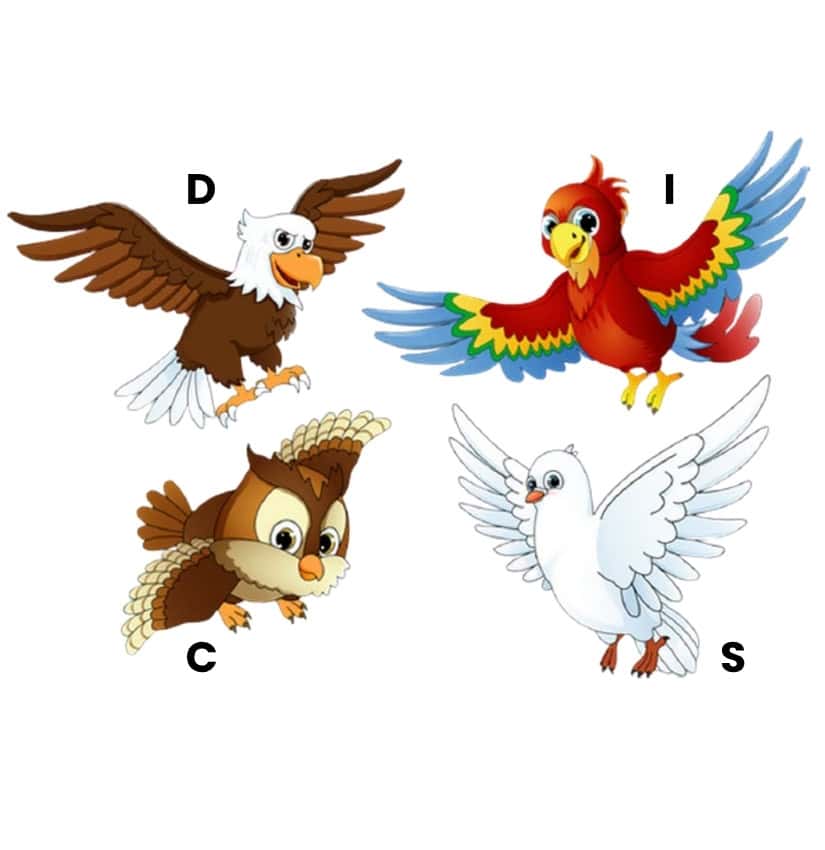 Birds in DISC 825×850 Birds that correlate to DISC behavior profile